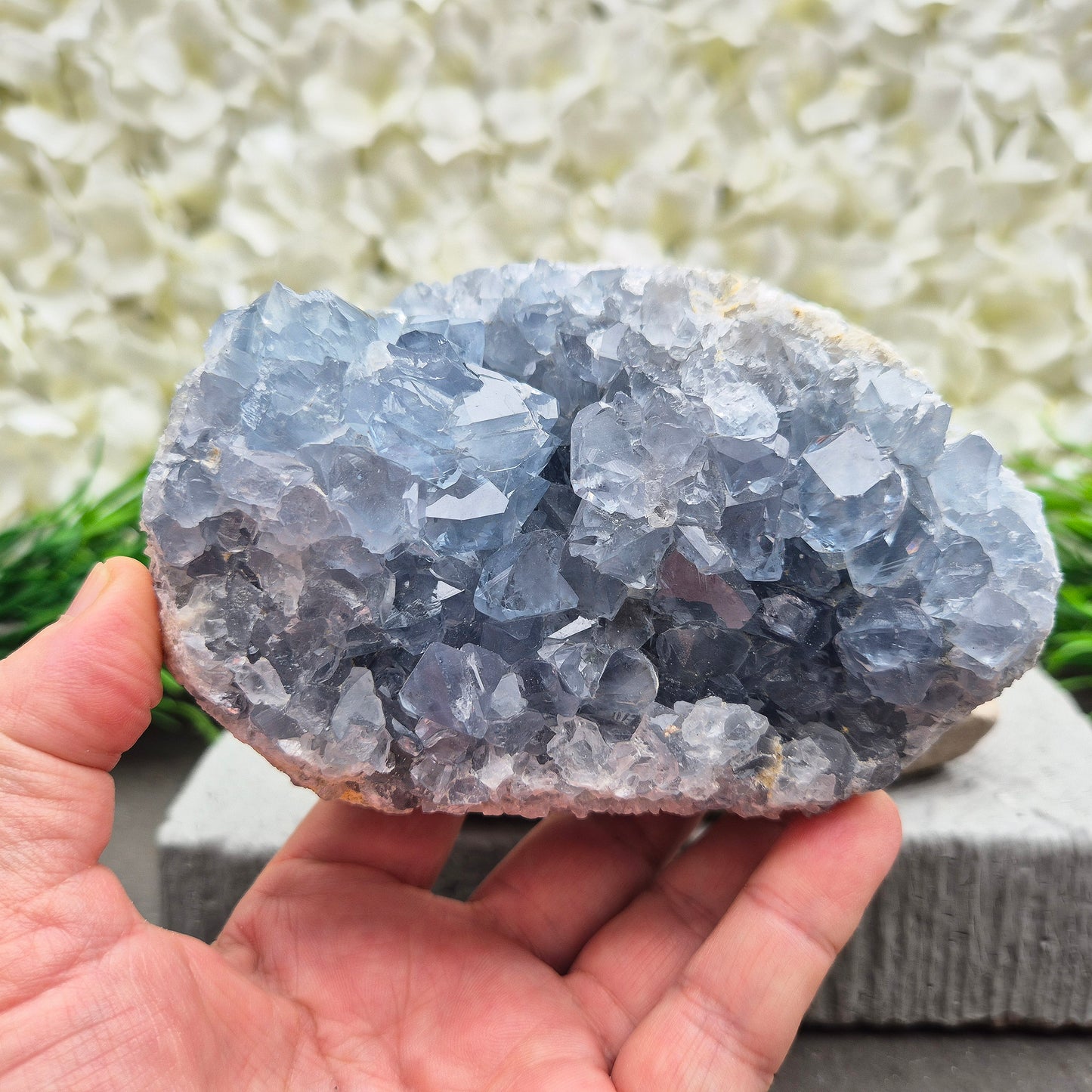 Celestite Crystal Cluster from Madagascar. This beautiful cluster shows sparkling sky-blue crystals on a natural matrix. The base is softly rounded but still sits well on a flat surface.