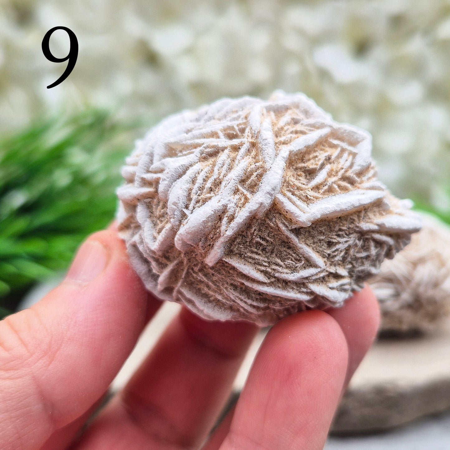 Desert Rose (Selenite) from Mexico. Desert Rose is a natural formation of selenite, a variety of gypsum, named for its distinctive rose-like appearance. This unique crystal is formed when selenite crystals grow around sand grains, creating rosette-shaped clusters that resemble rose petals.