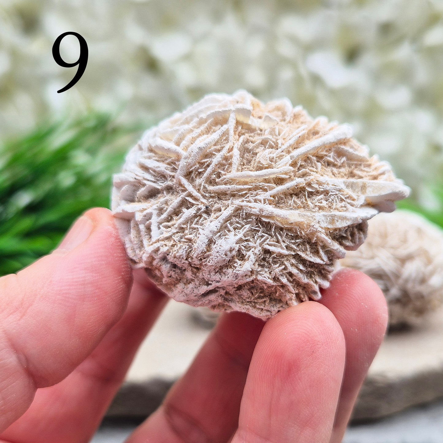 Desert Rose (Selenite) Crystal Cluster | Inspires Balance and Harmony | Spiritual Gemstone