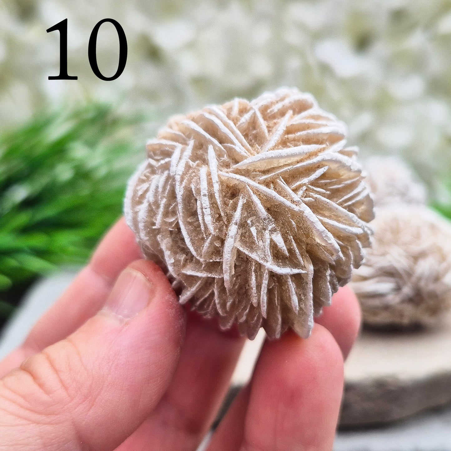 Desert Rose (Selenite) from Mexico. Desert Rose is a natural formation of selenite, a variety of gypsum, named for its distinctive rose-like appearance. This unique crystal is formed when selenite crystals grow around sand grains, creating rosette-shaped clusters that resemble rose petals.