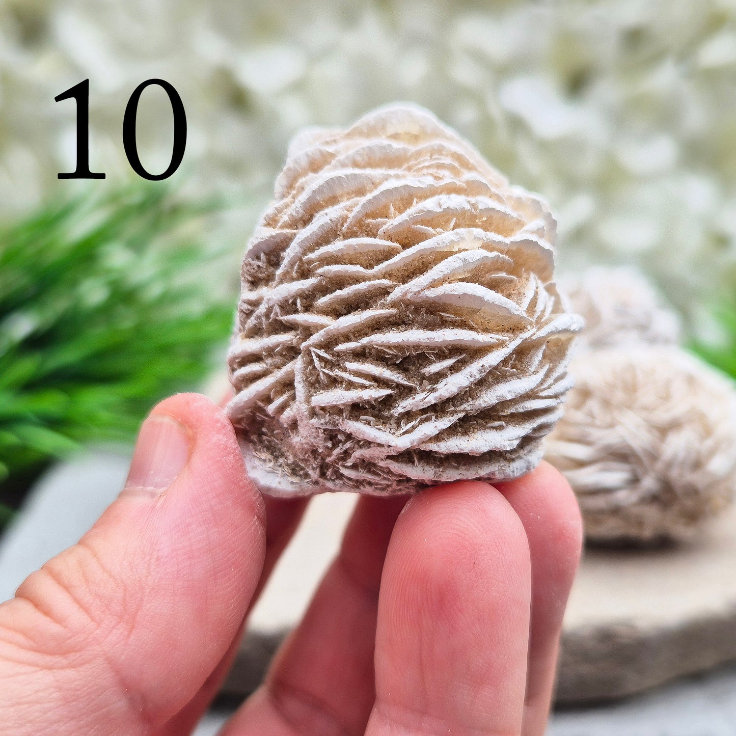 Desert Rose (Selenite) Crystal Cluster | Inspires Balance and Harmony | Spiritual Gemstone
