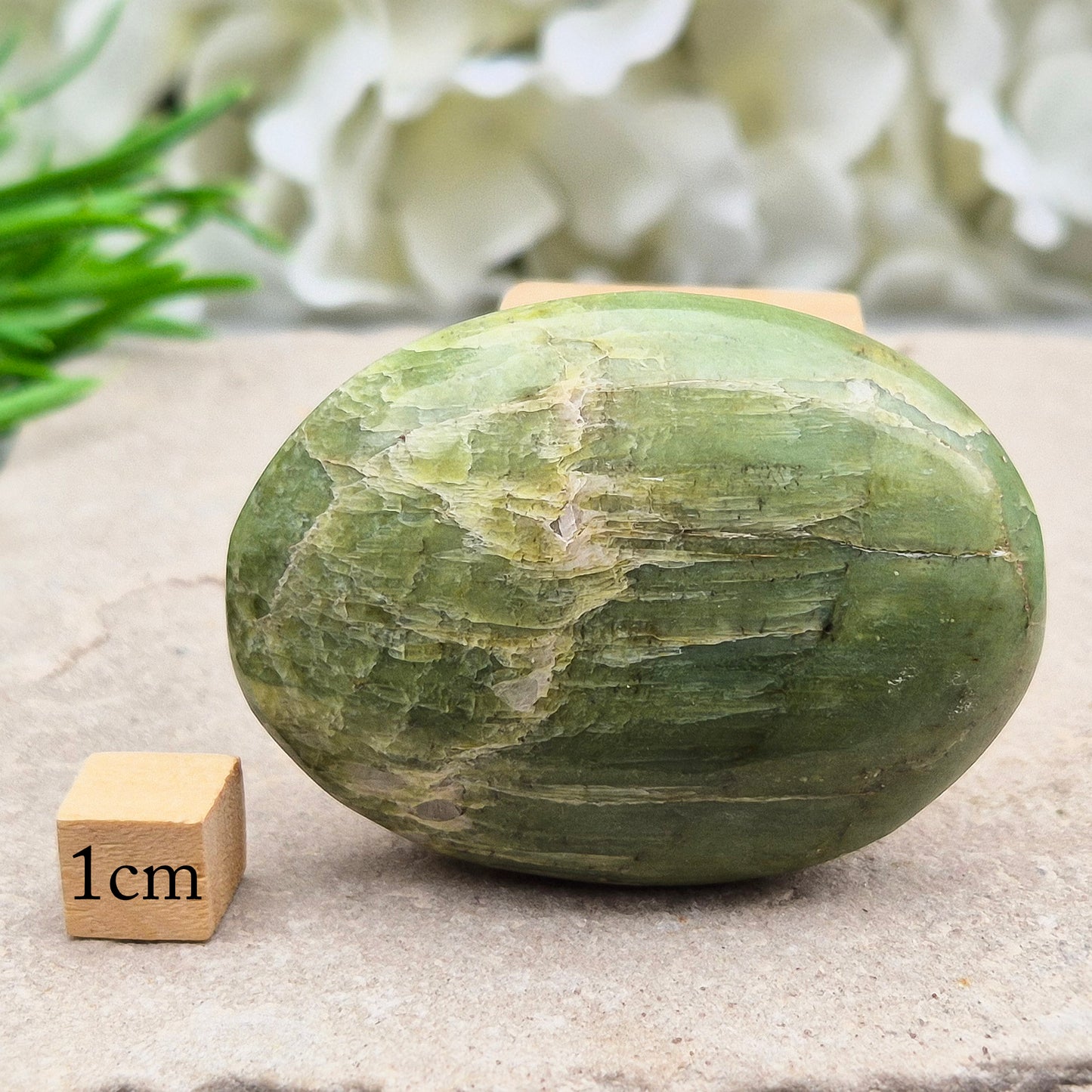Tremolite Crystal Palm Stone - Polished Gemstone | Soothing Crystal for Calm & Balance | Enhance Your Space