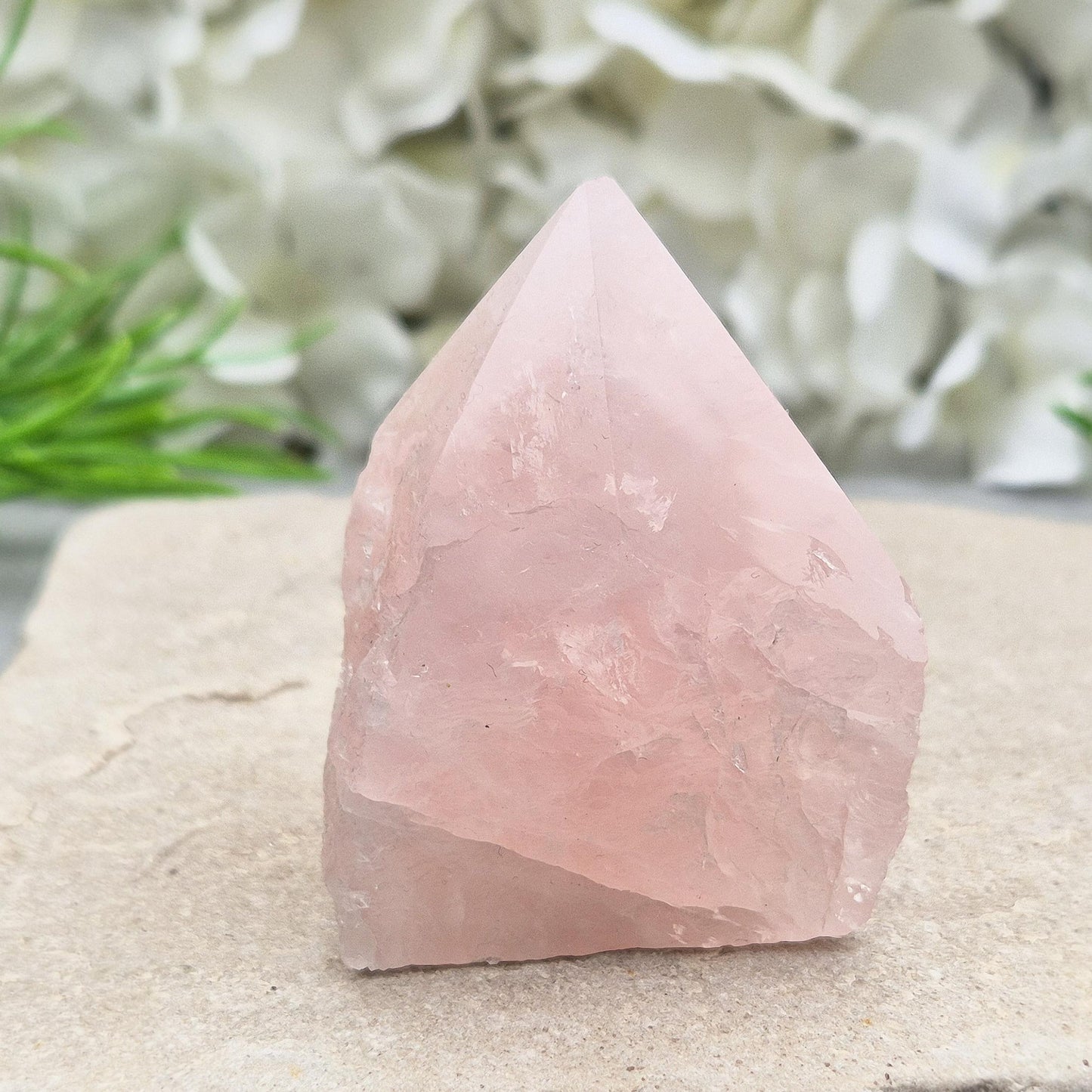 Rose Quartz Crystal - Standing Point, Display in Home, Office or Sacred Space