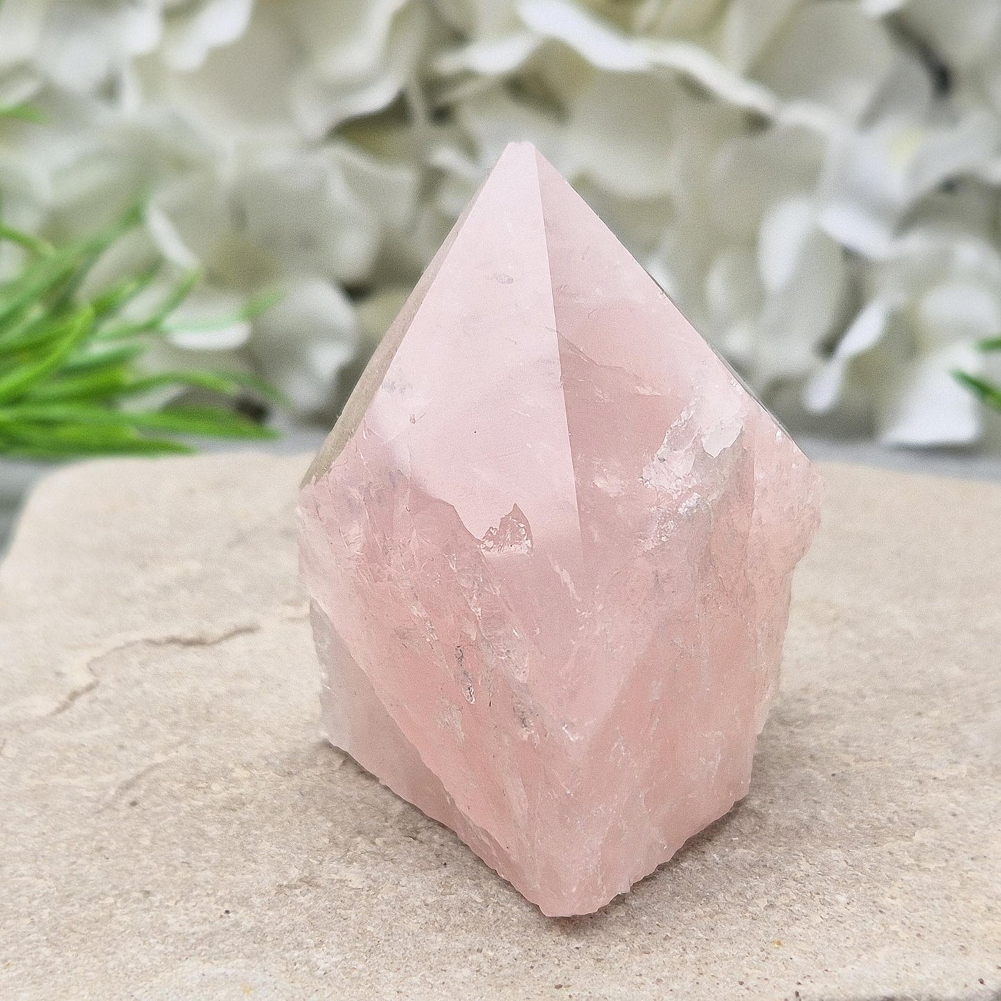 Rose Quartz Crystal - Standing Point, Display in Home, Office or Sacred Space