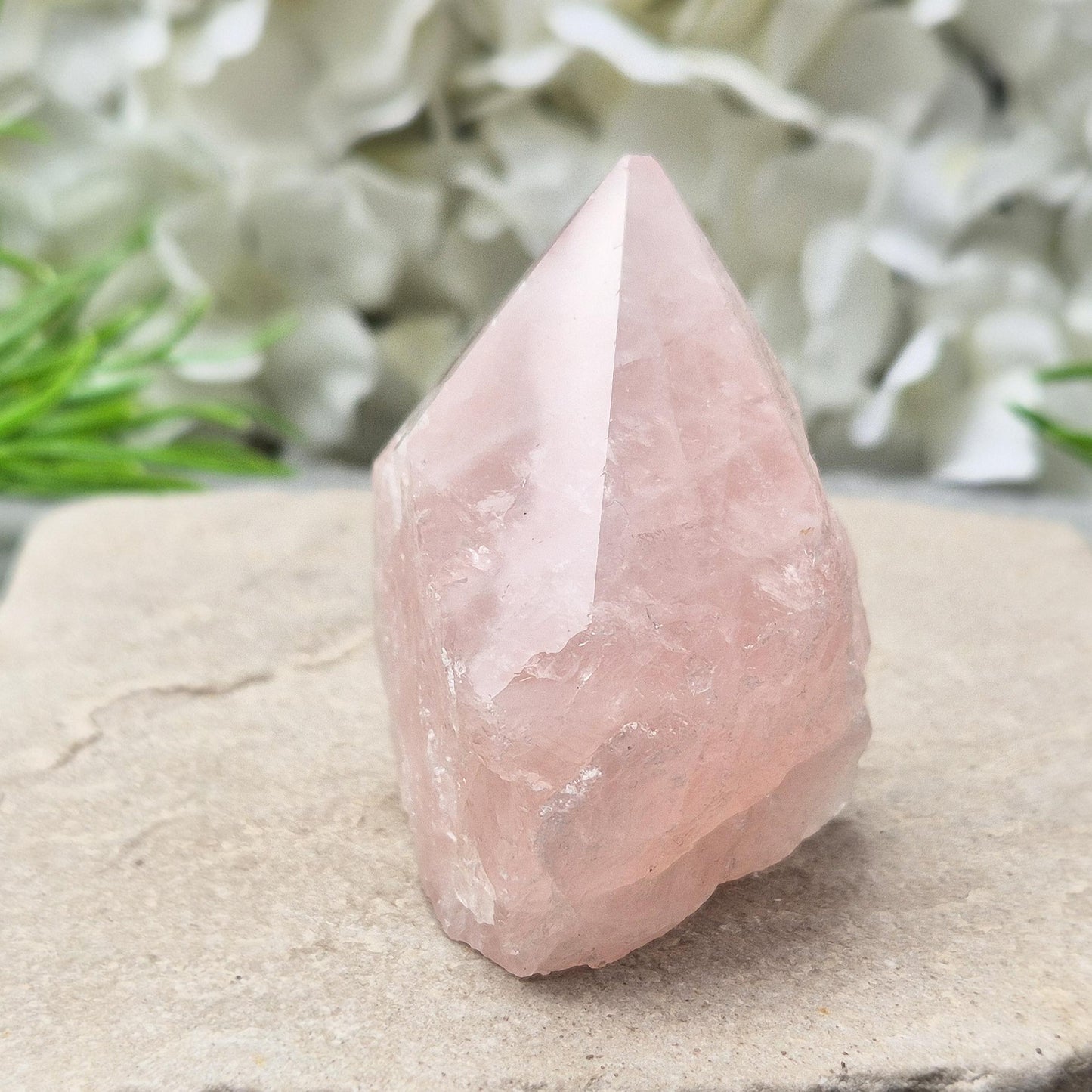 Rose Quartz Crystal - Standing Point, Display in Home, Office or Sacred Space