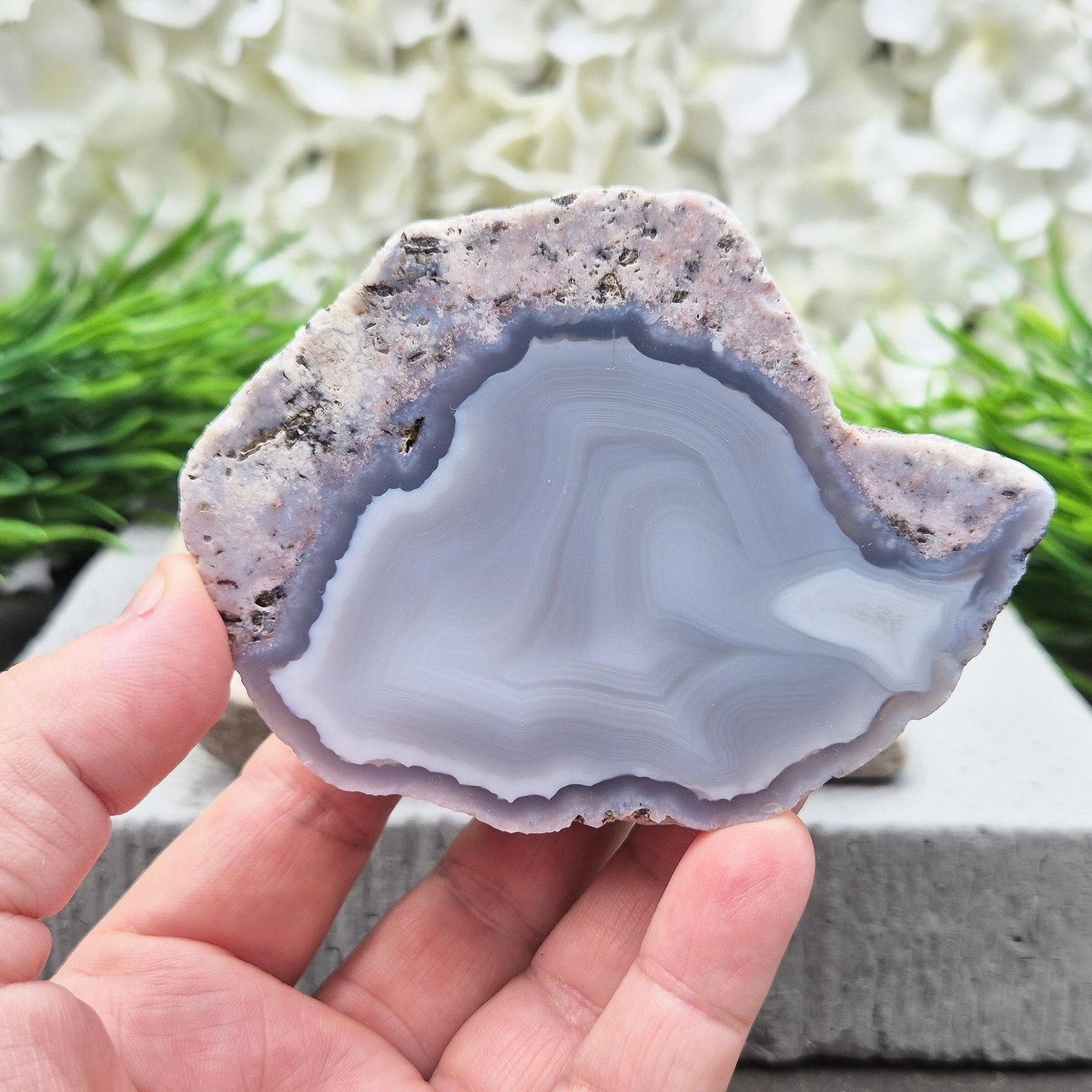 Rare Dugway Agate geode with natural banding from the Utah desert. Calming, grounding crystal—perfect for home decor or spiritual energy work.