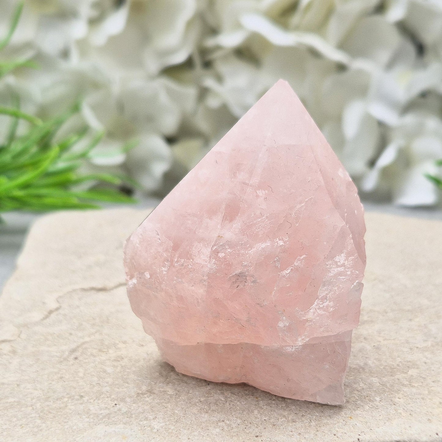 Rose Quartz Crystal - Standing Point, Display in Home, Office or Sacred Space