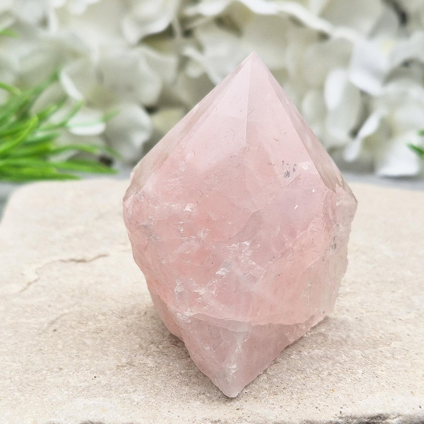Rose Quartz Crystal - Standing Point, Display in Home, Office or Sacred Space