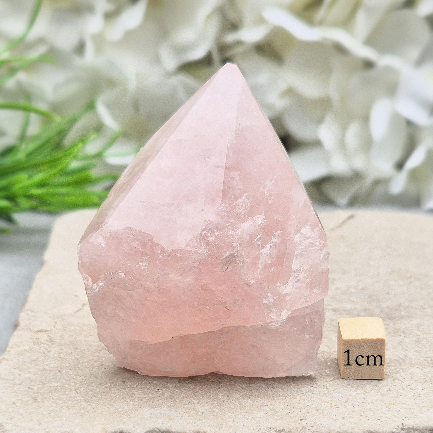Rose Quartz Crystal - Standing Point, Display in Home, Office or Sacred Space