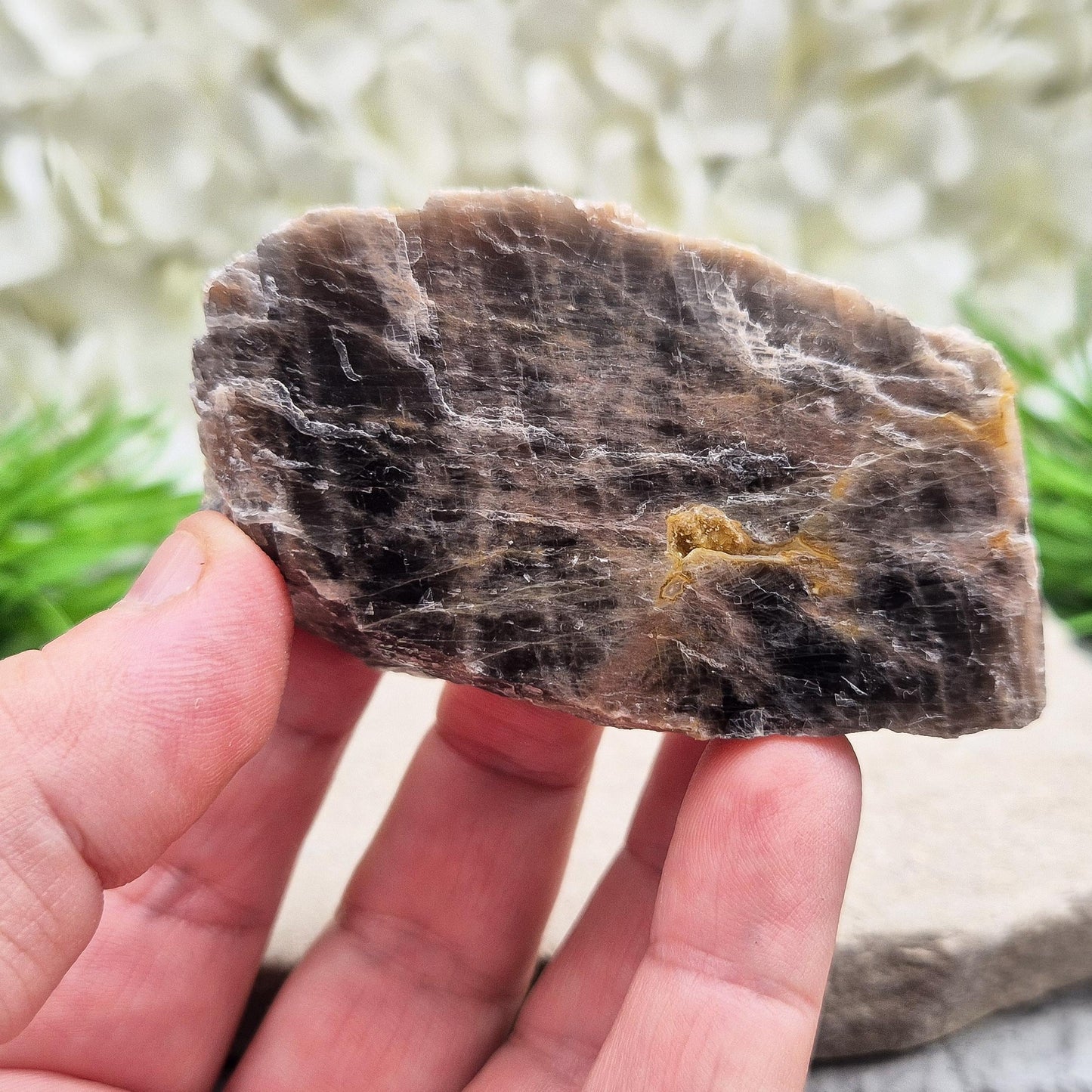 Black Moonstone – Rough Natural Crystal