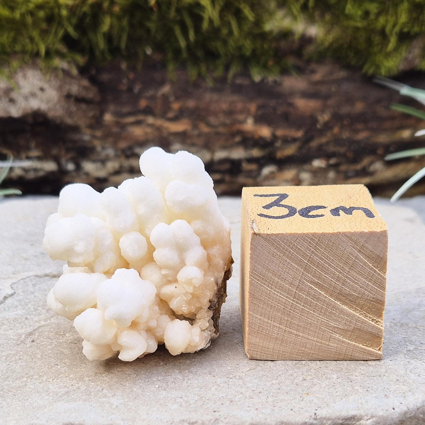 Cave Calcite Crystal, Cave Popcorn