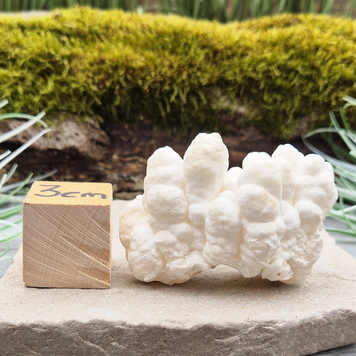 Cave Calcite Crystal, Natural White Aragonite
