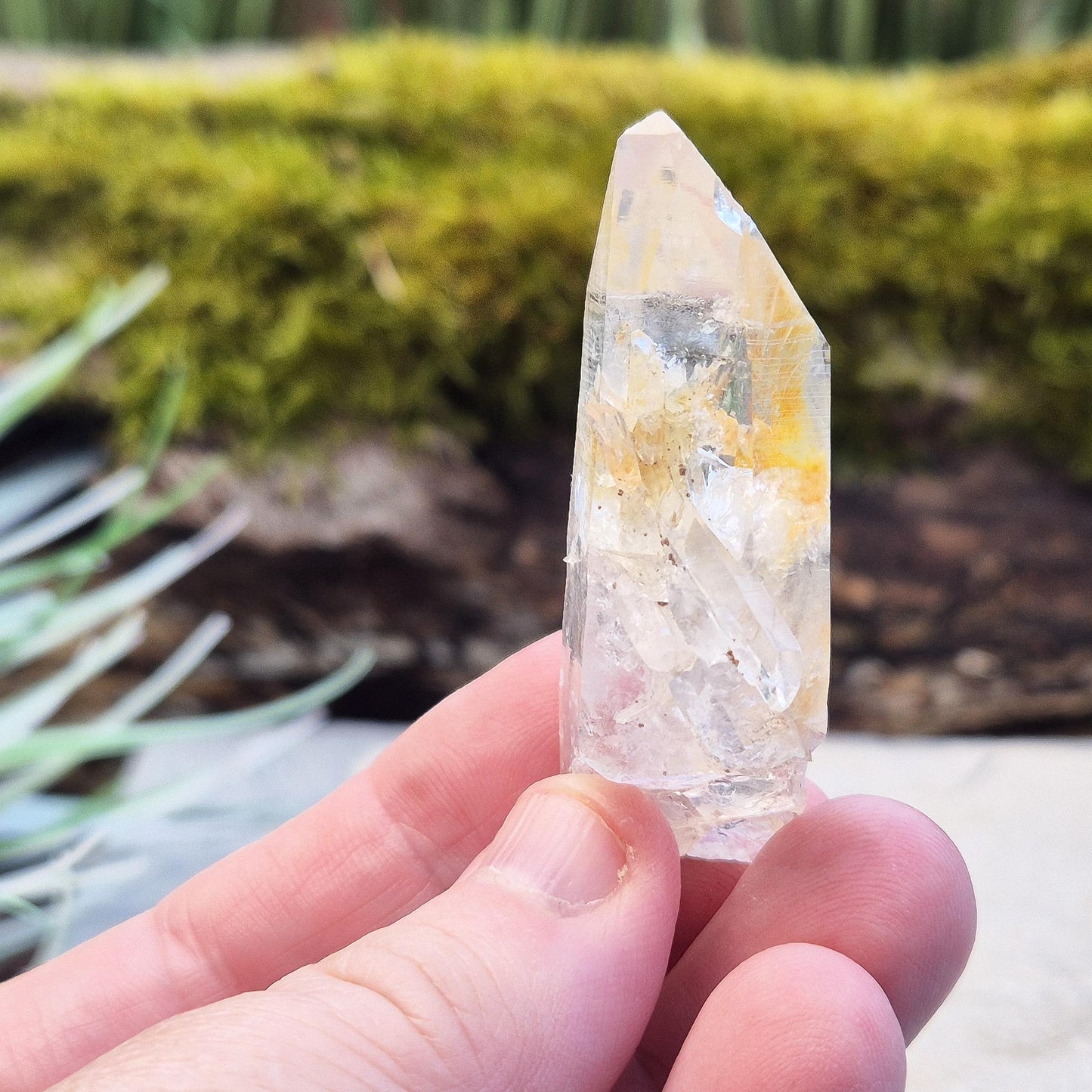 Blade of Light Quartz Crystal - Rare Colombian Lemurian Quartz | Spiritual Gemstone