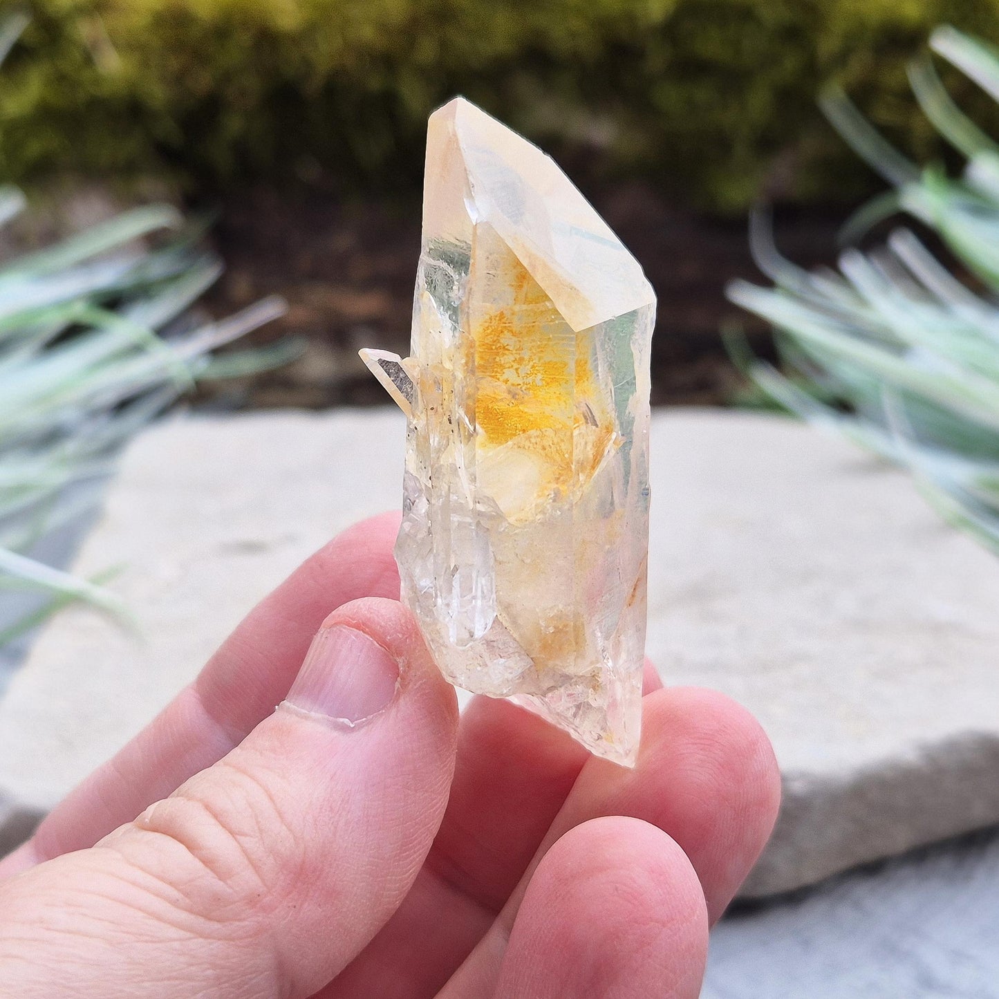 Blade of Light Quartz Crystal - Rare Colombian Lemurian Quartz | Spiritual Gemstone