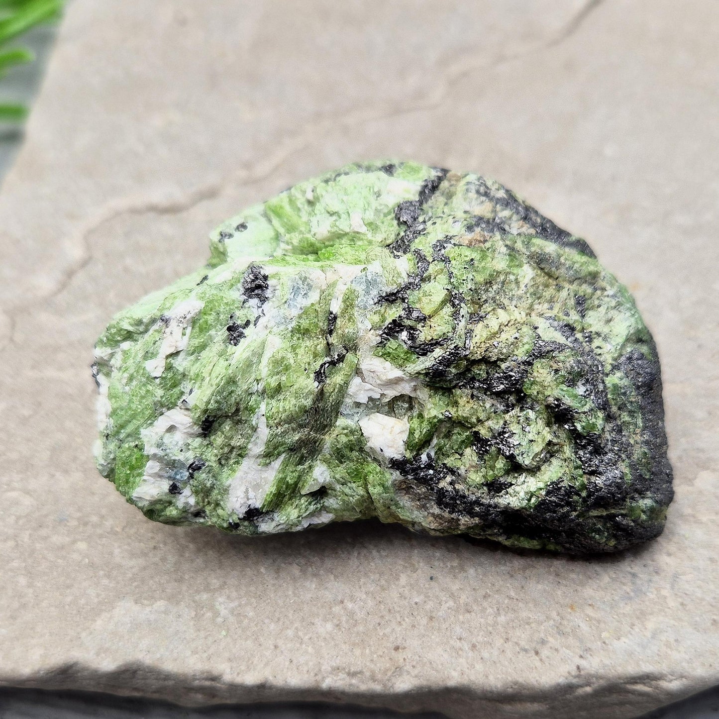 Rare Natural Green Tremolite Crystal, Merelani Tanzania — supports emotional clarity, healing from grief, and connects you to inner strength and heart energy.