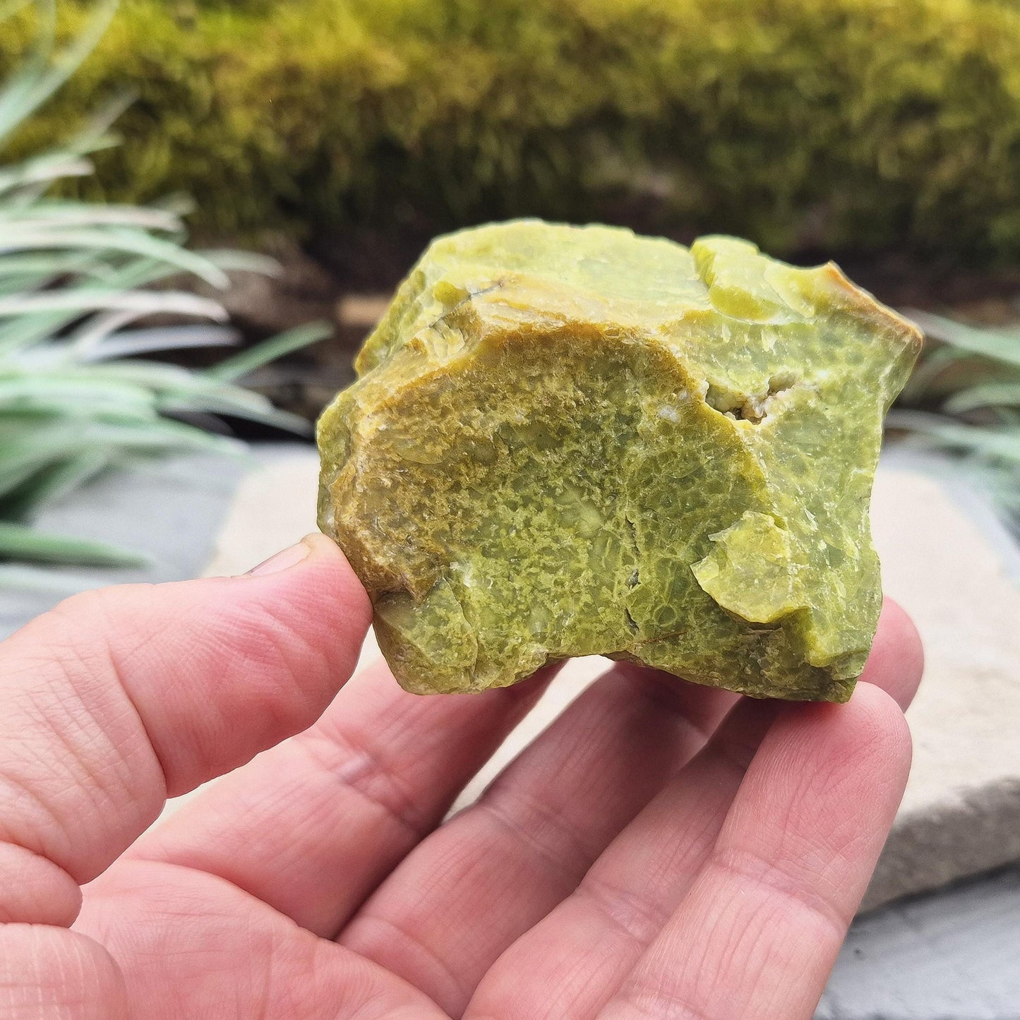 Natural Green Opal Crystal, Libra, Taurus, Virgo Gemstone