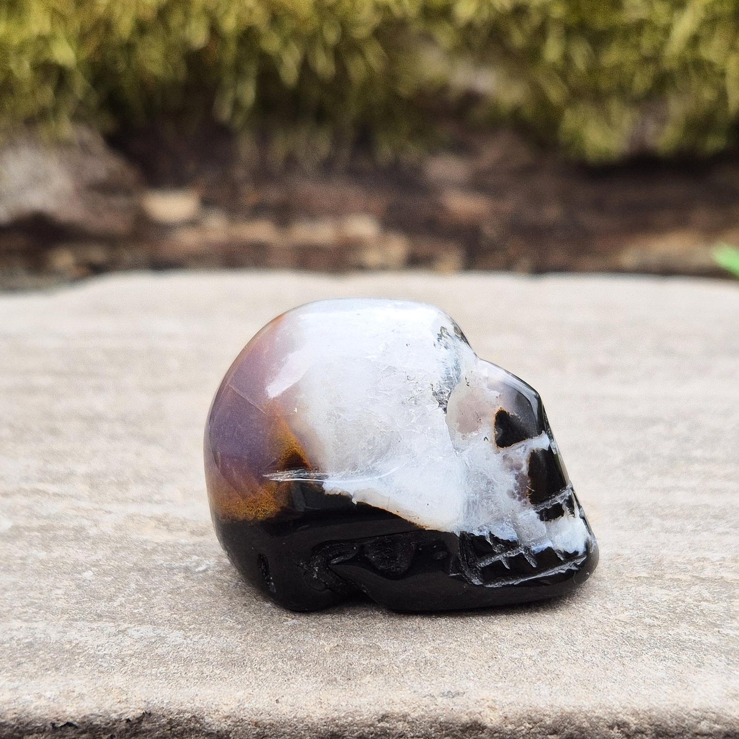 Sardonyx Jasper Crystal Skull, especially for skull collectors & home decor