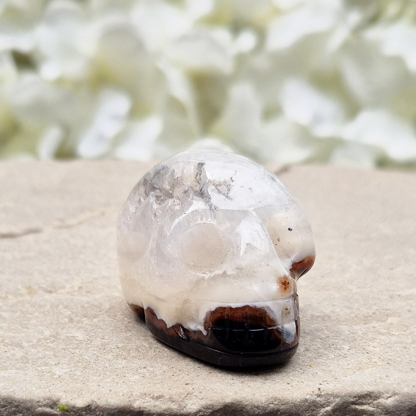Sardonyx Crystal Skull | Spiritual | Altar & Sacred Space Display Crystal