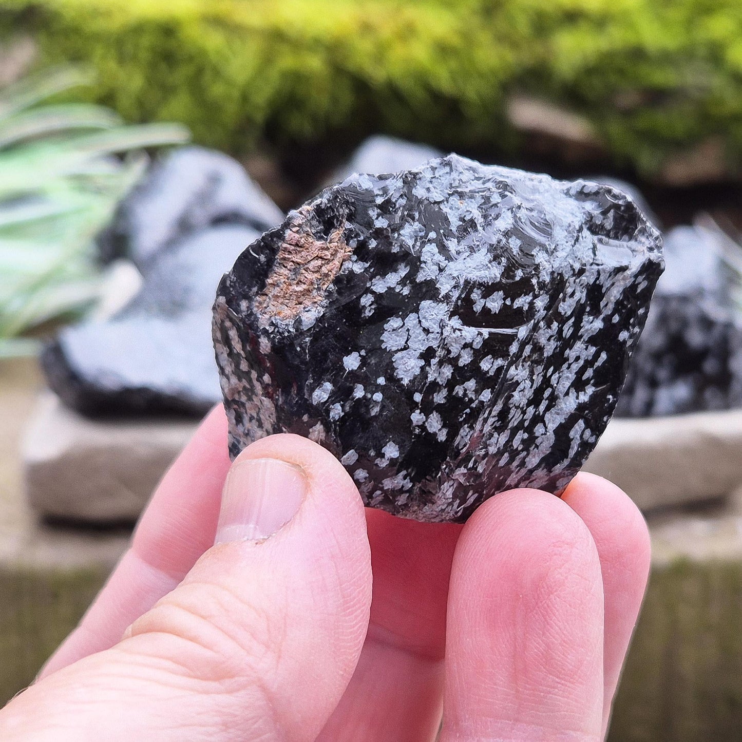 Raw Snowflake Obsidian stone, ideal for clearing mental clutter. A must-have for crystal lovers, healers and collectors.