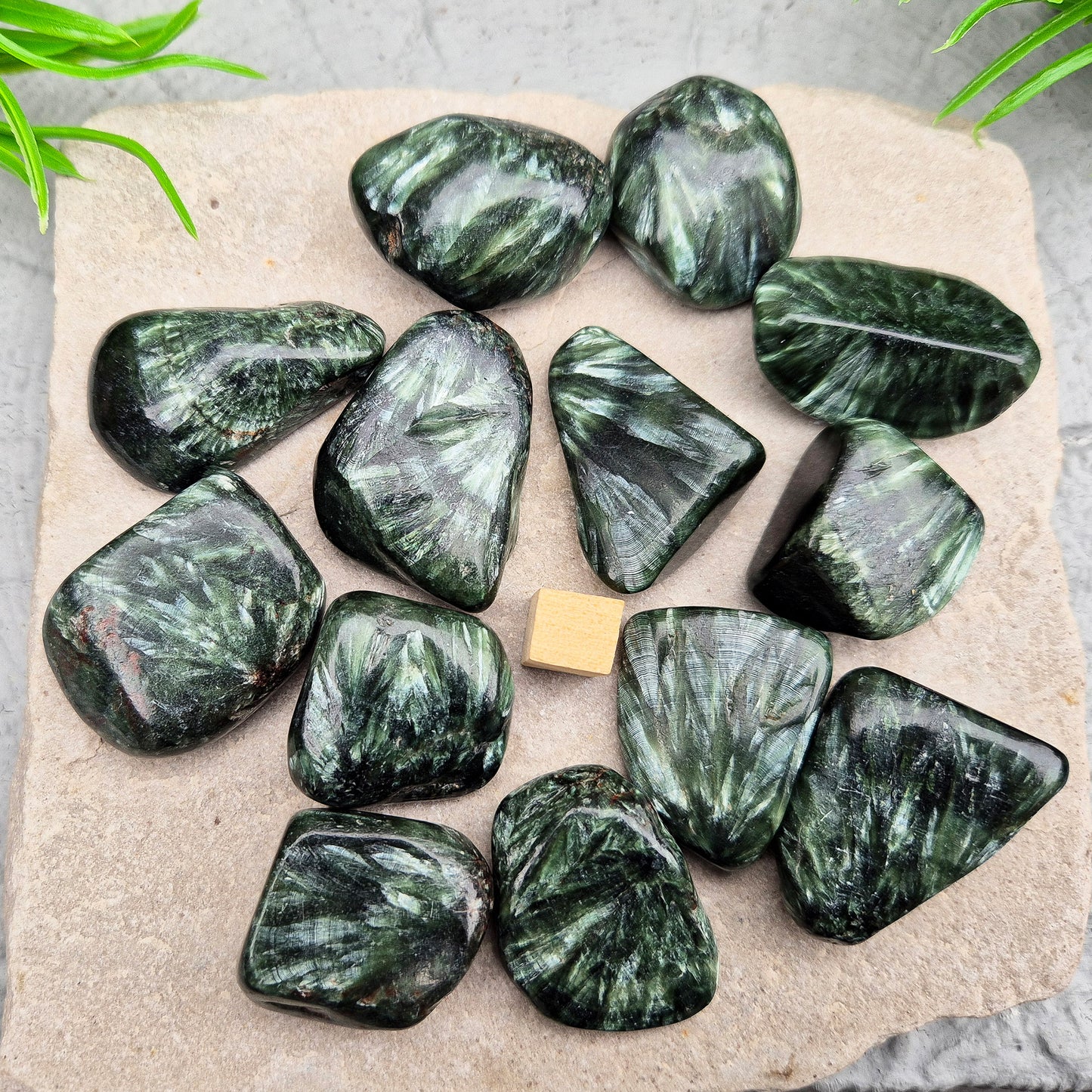 Seraphinite crystal for grounding, heart healing, and gentle spiritual growth. Handpicked pieces with rich green coloring for everyday energy work.