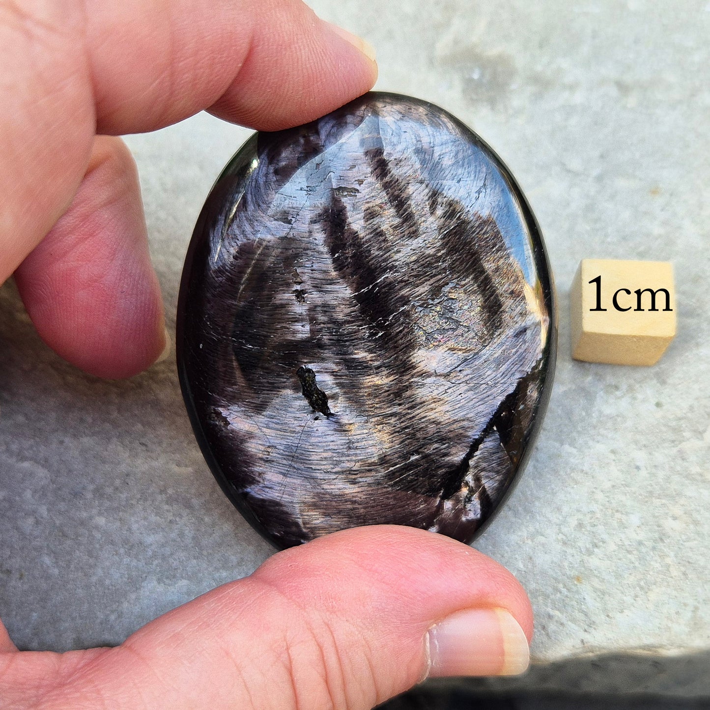 Hypersthene Palm Stone helps calm the mind, strengthen intuition, and restore inner balance — a grounding ally for clarity and quiet confidence.