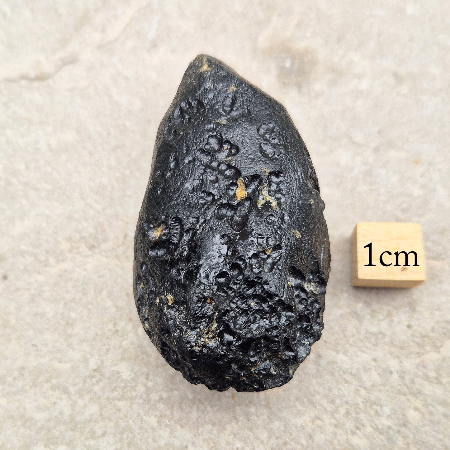 Black Tektite from Indochina, A-Grade Meteorite, Collectors Stone