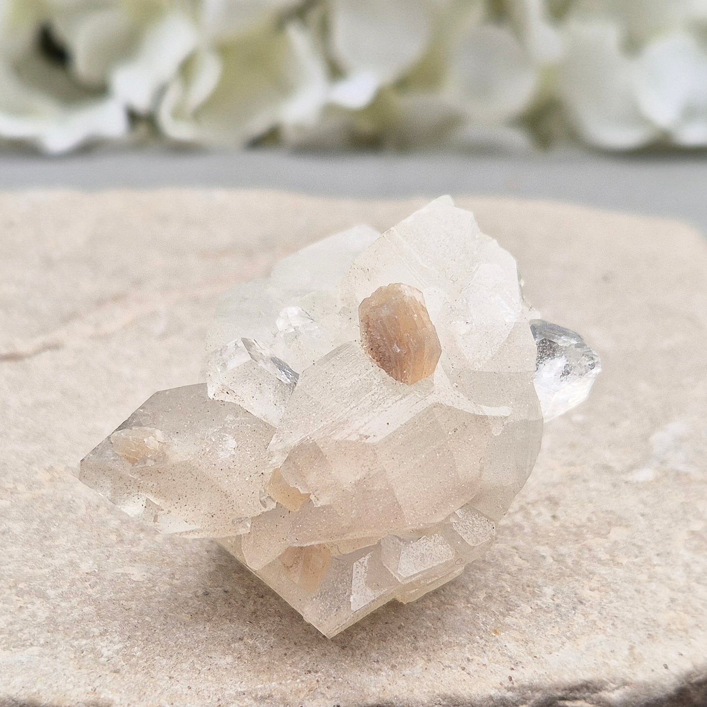 Apophyllite Crystal Cluster with Stilbite