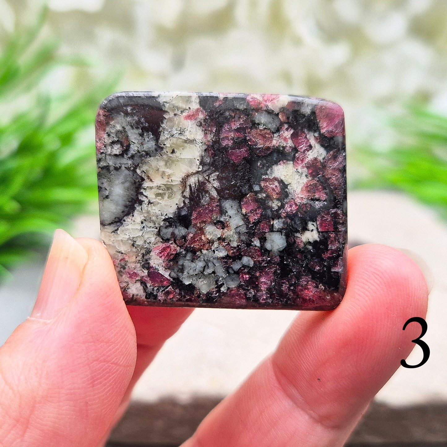Polished Eudialyte slices with rich red tones. A rare, supportive crystal known for emotional release, self-love, and gentle heart-led strength.