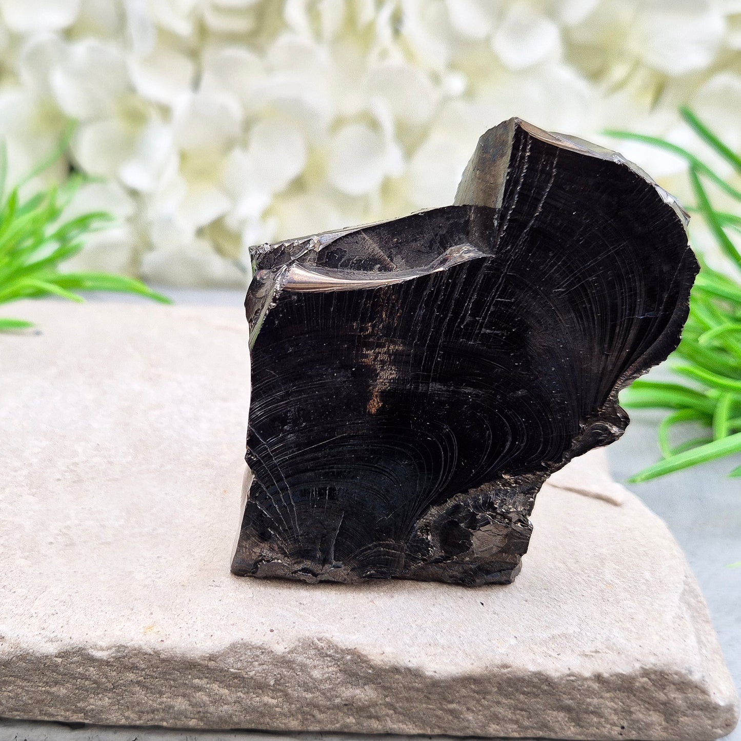 Colombian Shungite Crystal – Raw Carbon-Rich Stone