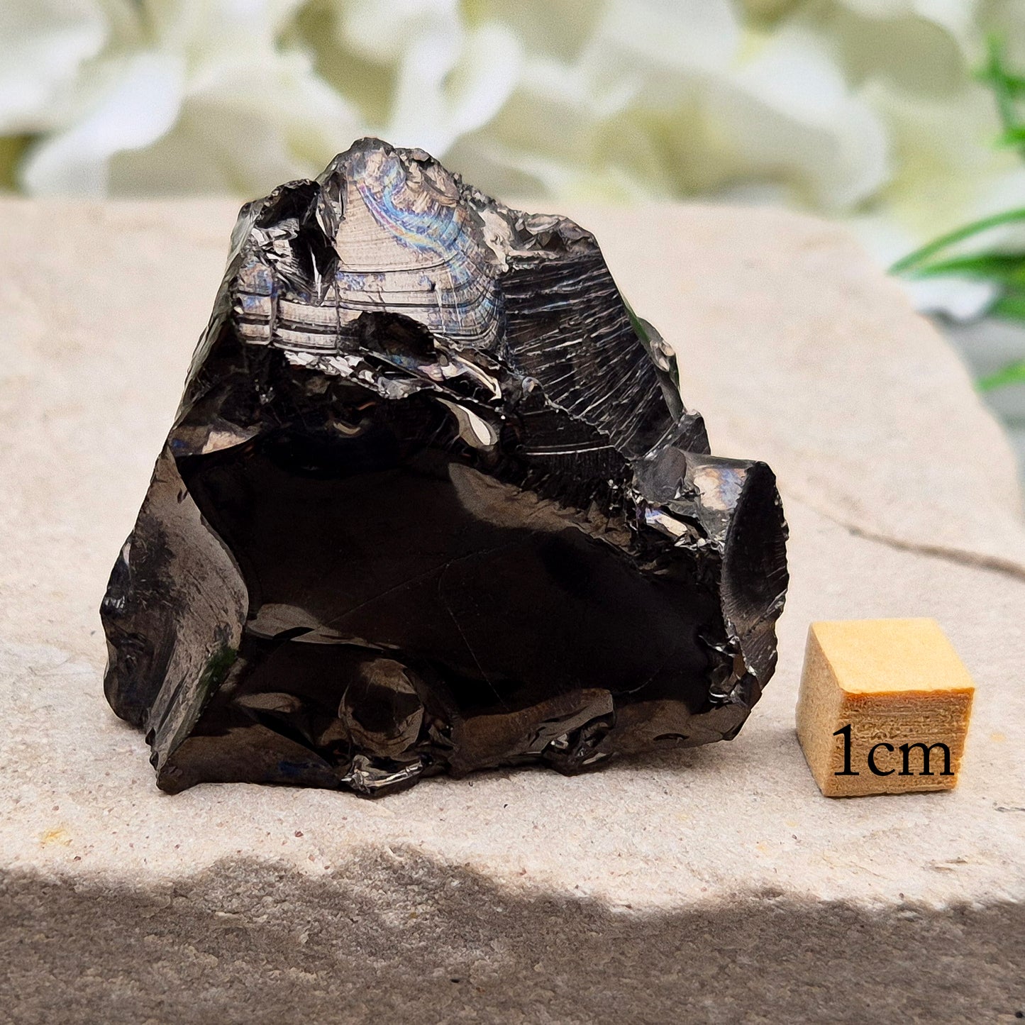 Colombian High-Carbon Stone (Anthracite-Type) – Raw Black Carbon Stone