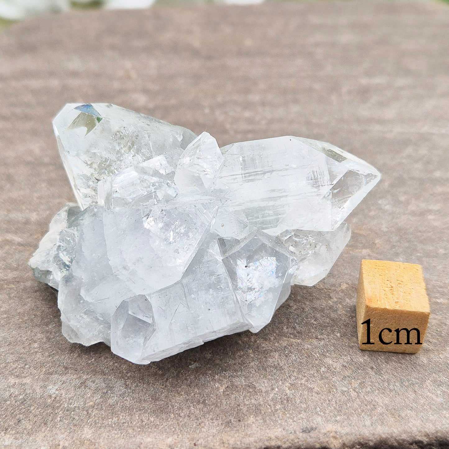 Apophyllite Crystal Cluster