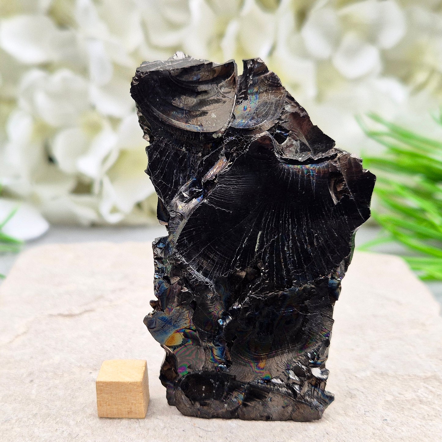 Shungite Crystal – Also Known As Raquirite (Colombia)