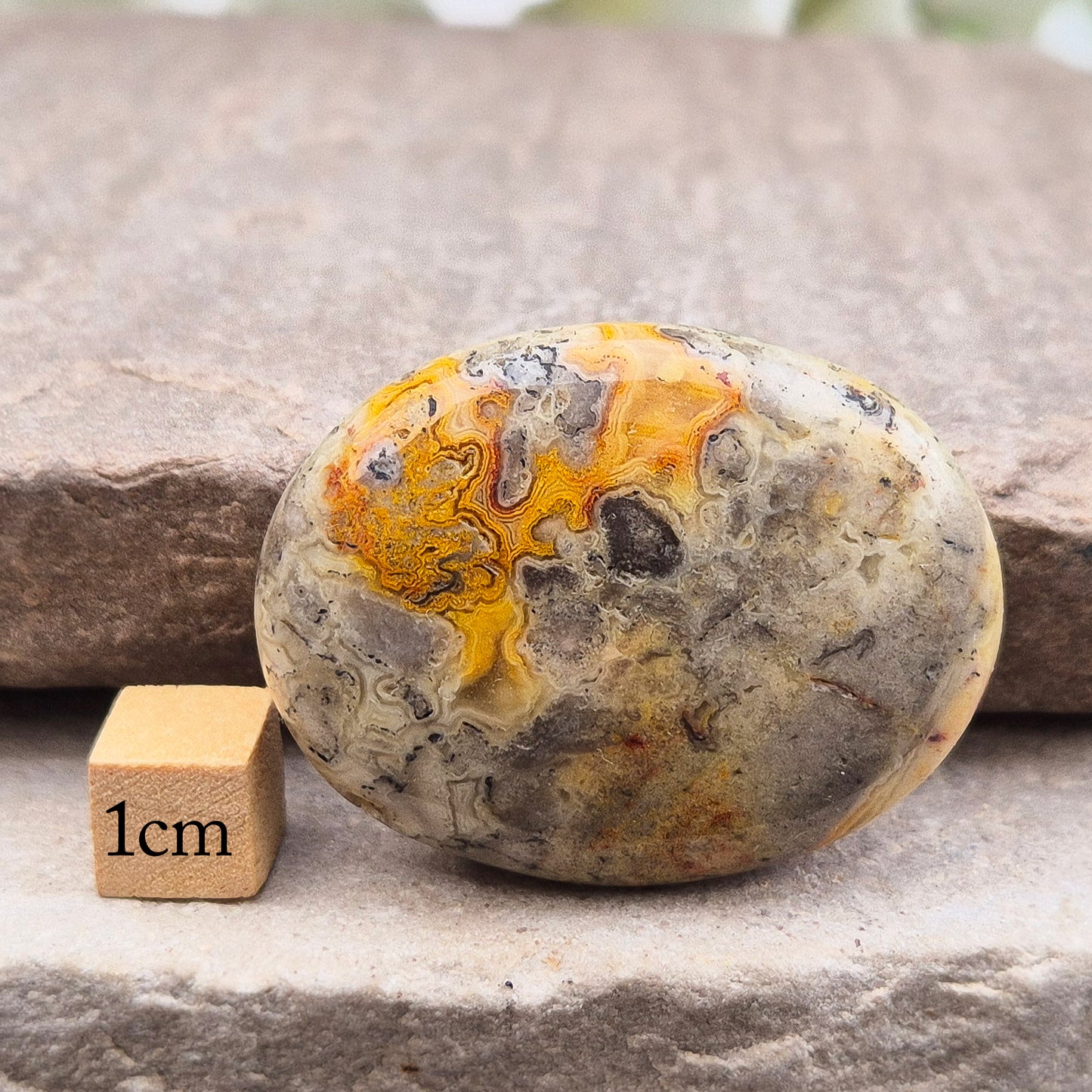 Crazy Lace Agate Crystal Palm Stone - Happy Lace