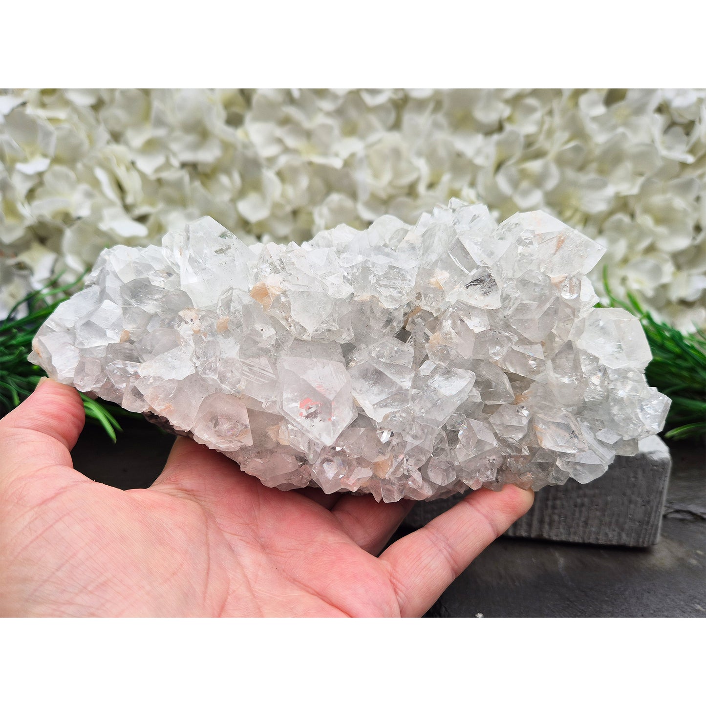 Natural Apophyllite crystal cluster from India, known for its calm, uplifting presence. A beautiful display piece often chosen for reflection and spiritual spaces.