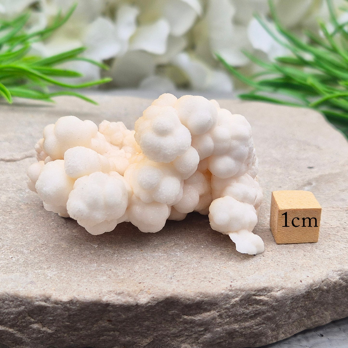 Cave Calcite (Cave Popcorn / Coralloid Aragonite) — Natural Crystal