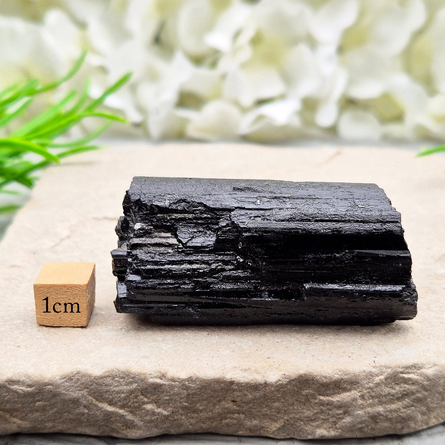 Black Tourmaline, Natural Crystal