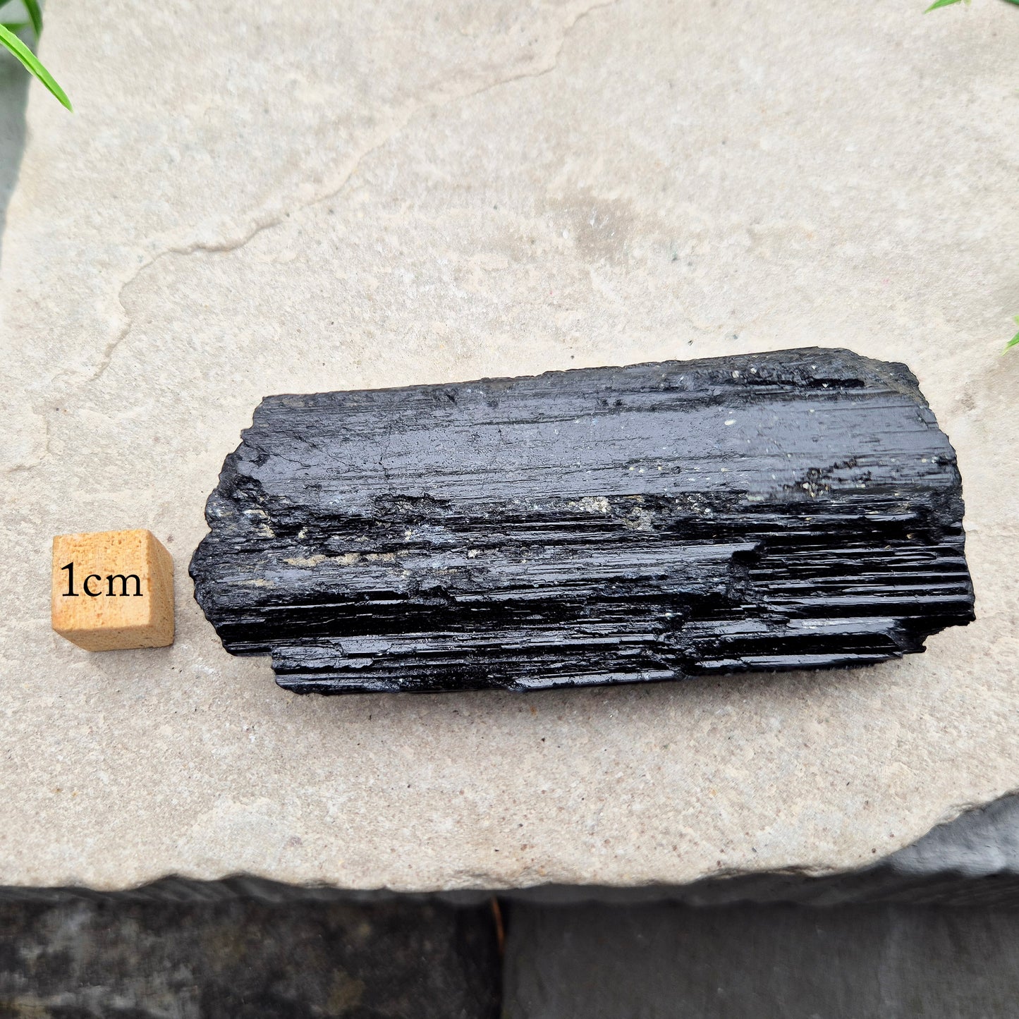 Natural Black Tourmaline crystal. Strong protective crystal that helps you feel safe, calm, clear-minded, and emotionally strong.