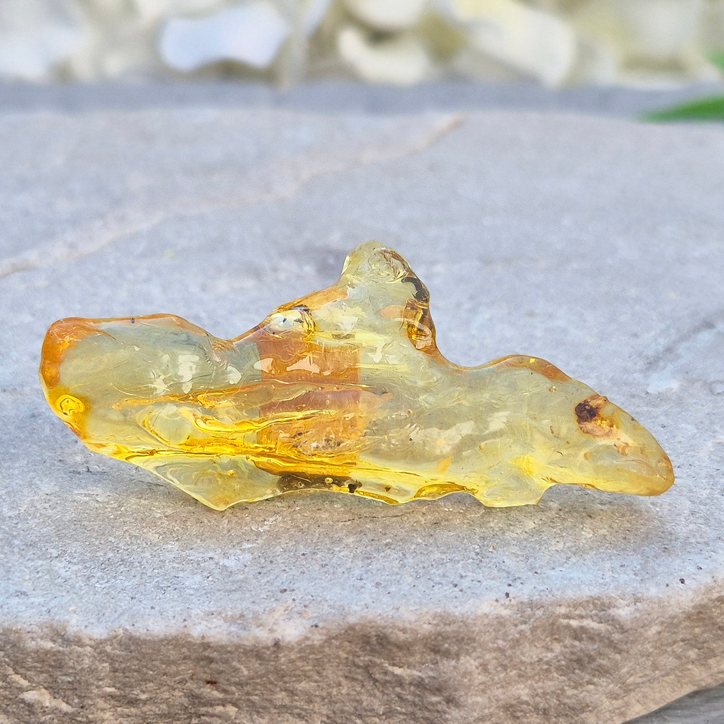 Copal Amber, Colombian