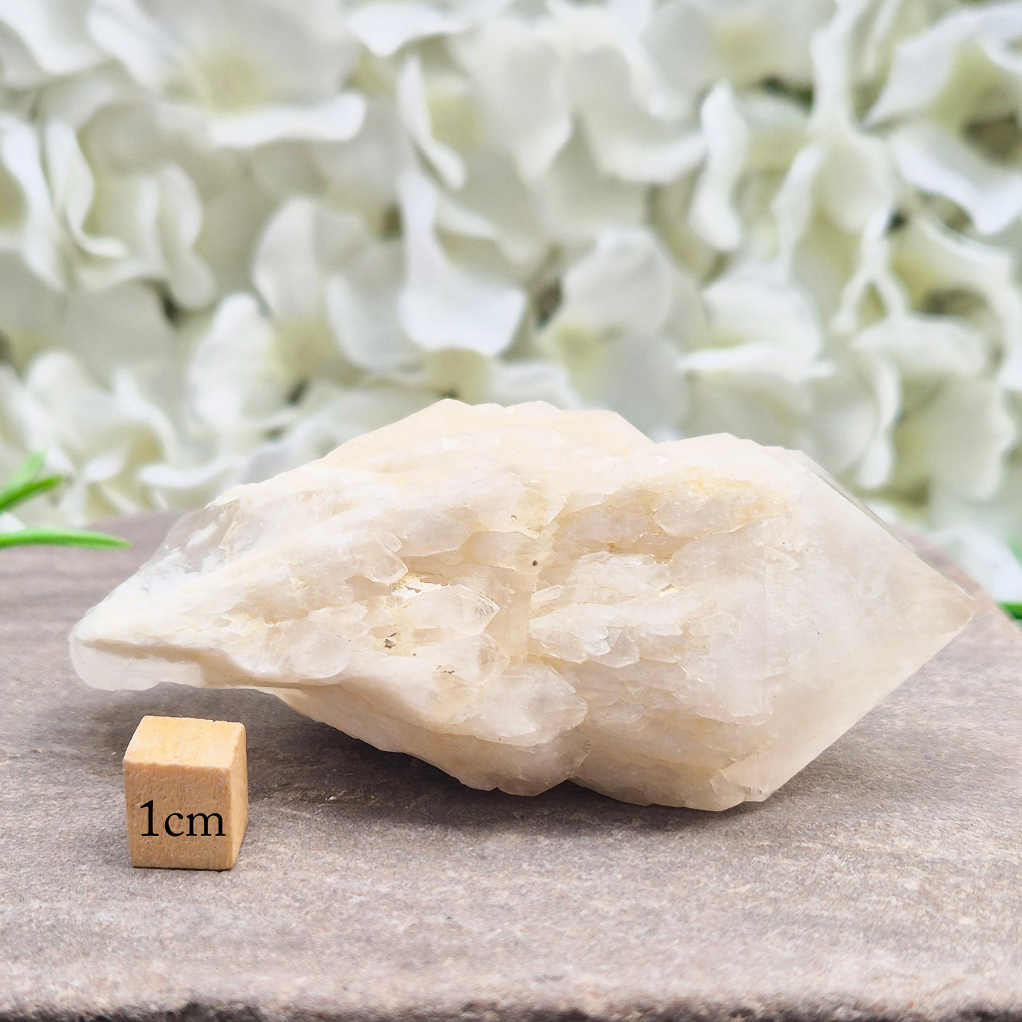 Candle Quartz natural crystal point (Pineapple Quartz) from Madagascar, featuring layered growth patterns and valued for meditation, balance, and spiritual focus.