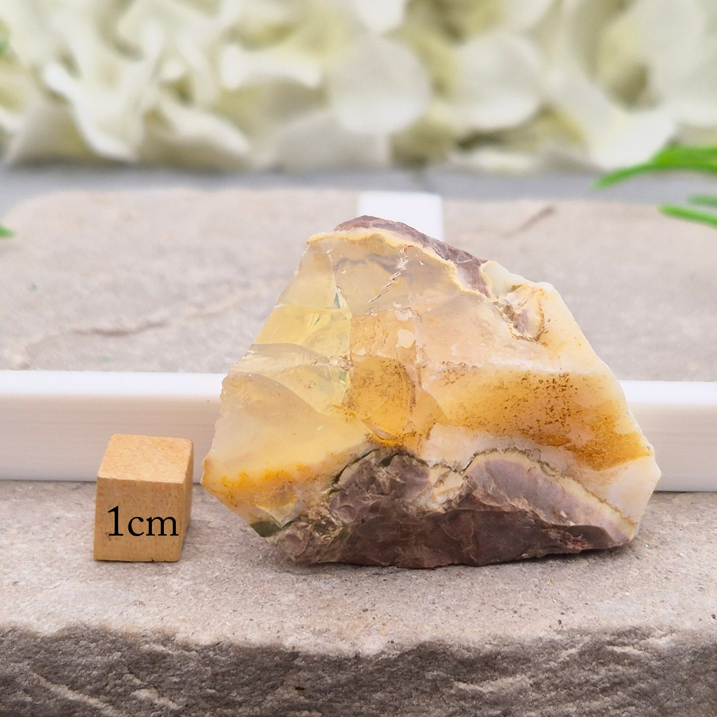 Natural Butte Opal specimen from Oregon. An attractive and unusual crystal with natural character, ideal for collections, displays, and gifting.