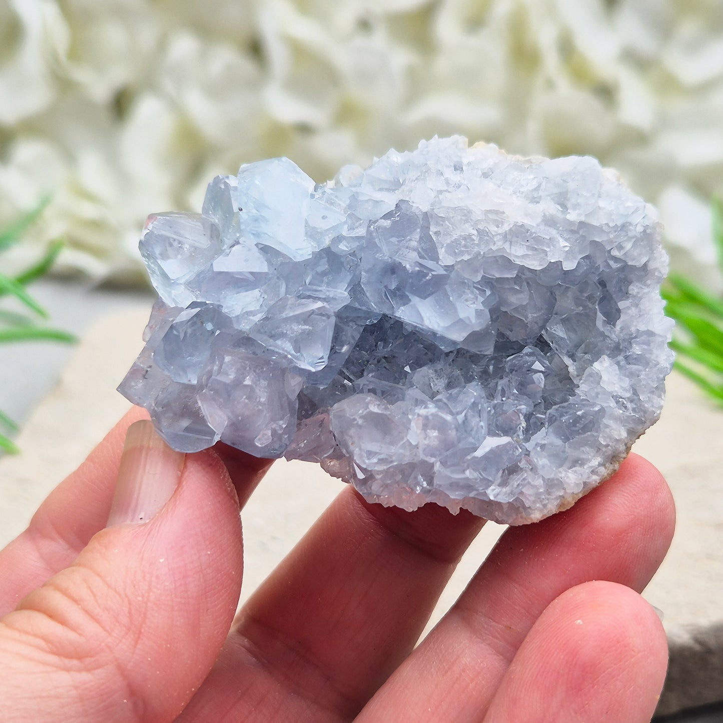 Celestite Cluster with sparkling blue crystals. A beautiful display piece loved for its gentle energy, peaceful presence, and natural beauty.