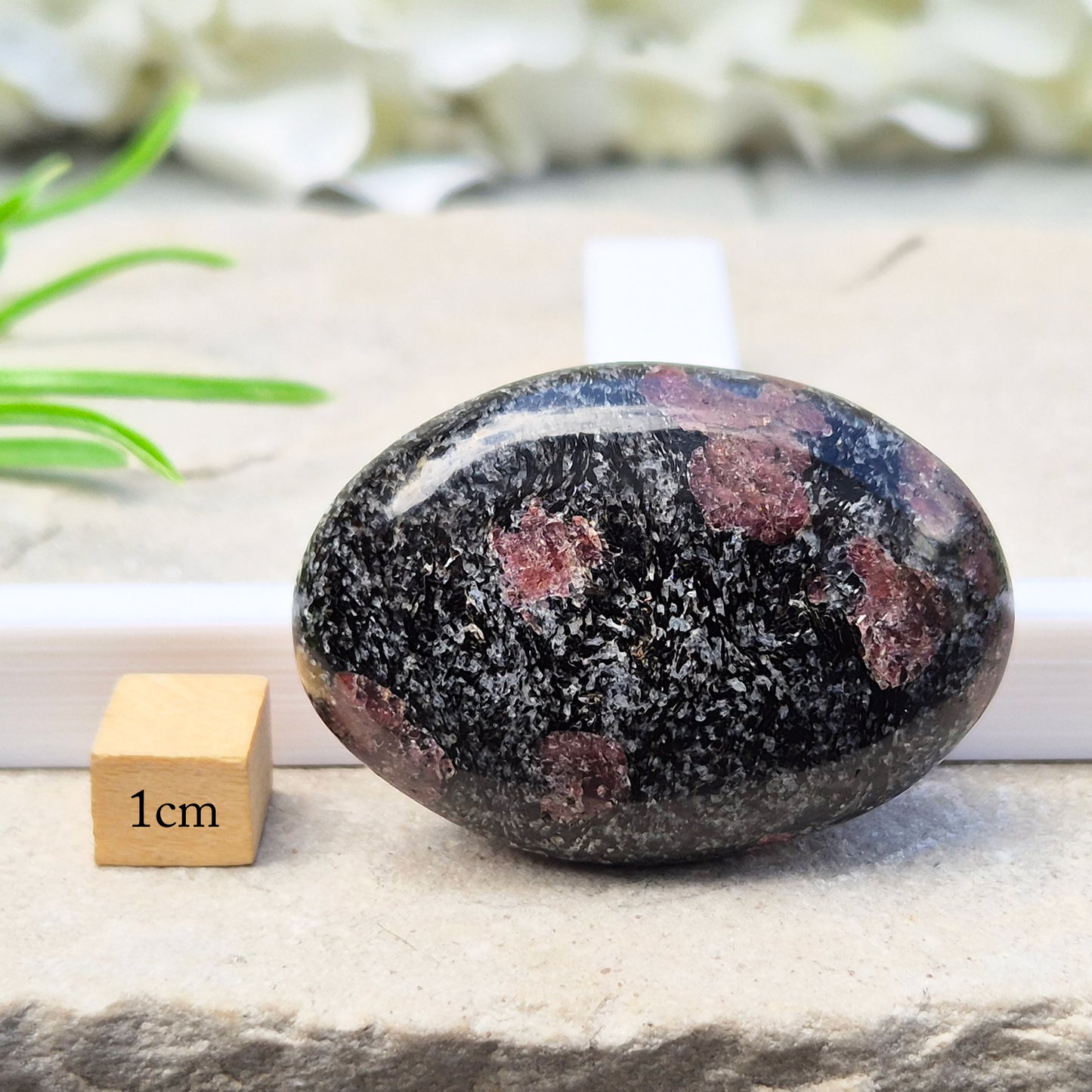 Red Garnet In Black Tourmaline Palm Stone