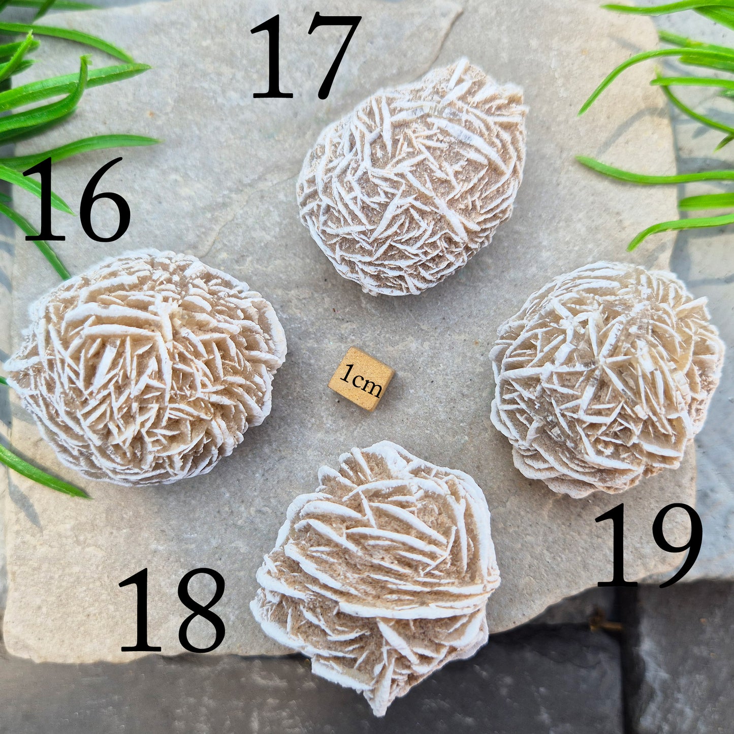 Desert Rose Crystal, Selenite Rose Clusters