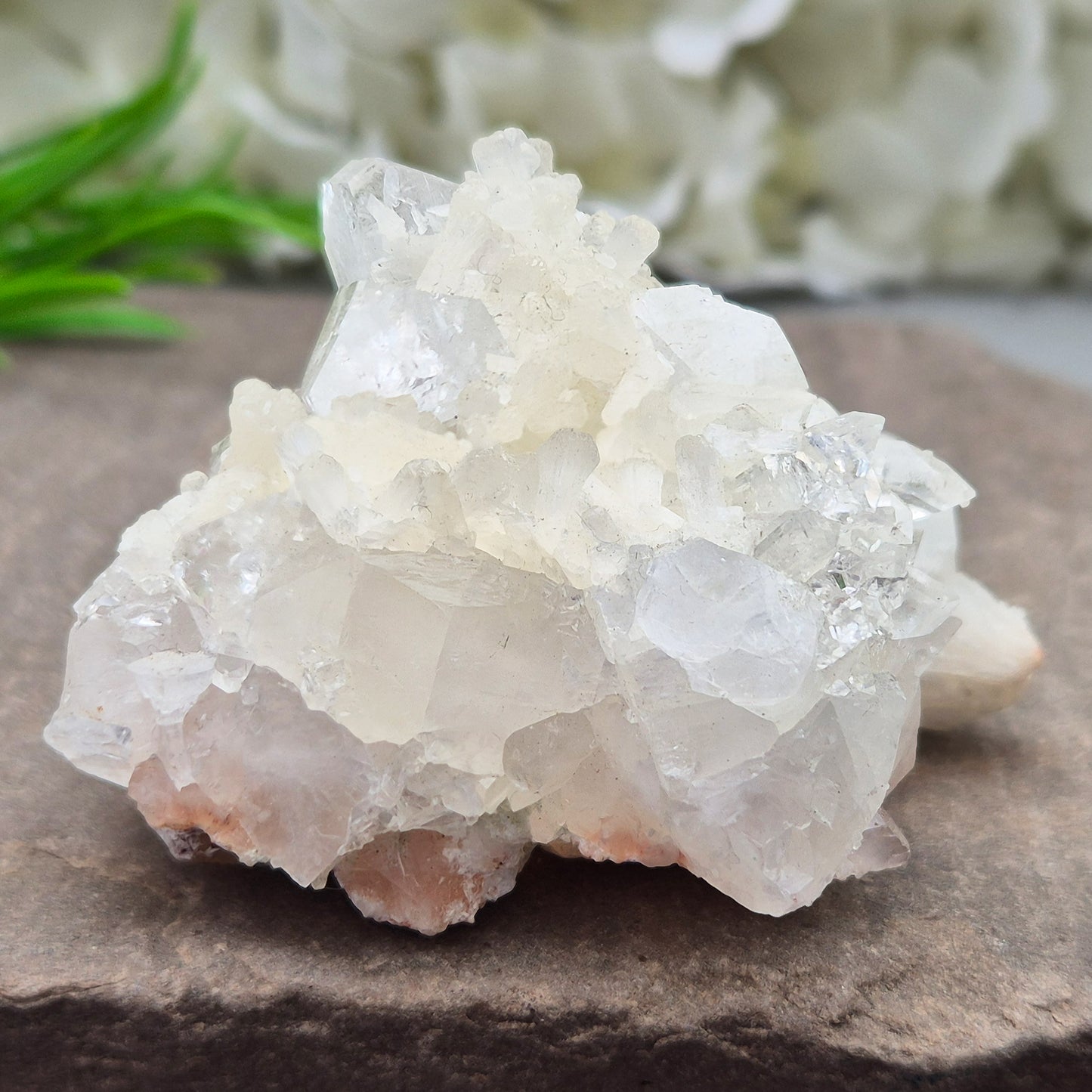 Apophyllite cluster for clarity, calm, and connection. A high-vibration crystal to uplift energy and deepen spiritual awareness in any space.