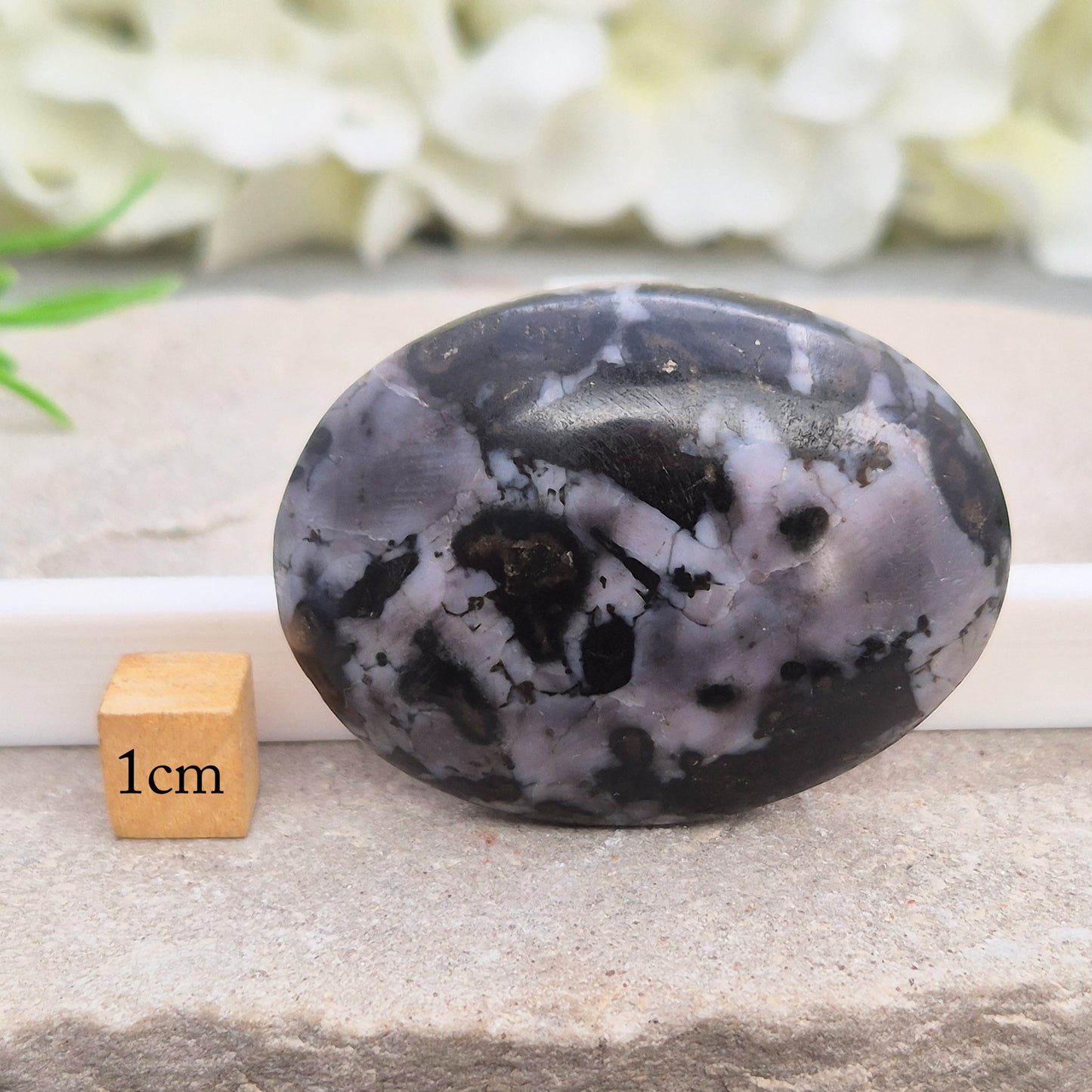 Mystic Merlinite (indigo gabbro) palm stone for energy work, intuition & emotional healing. Ideal for meditation, grounding & spiritual growth.