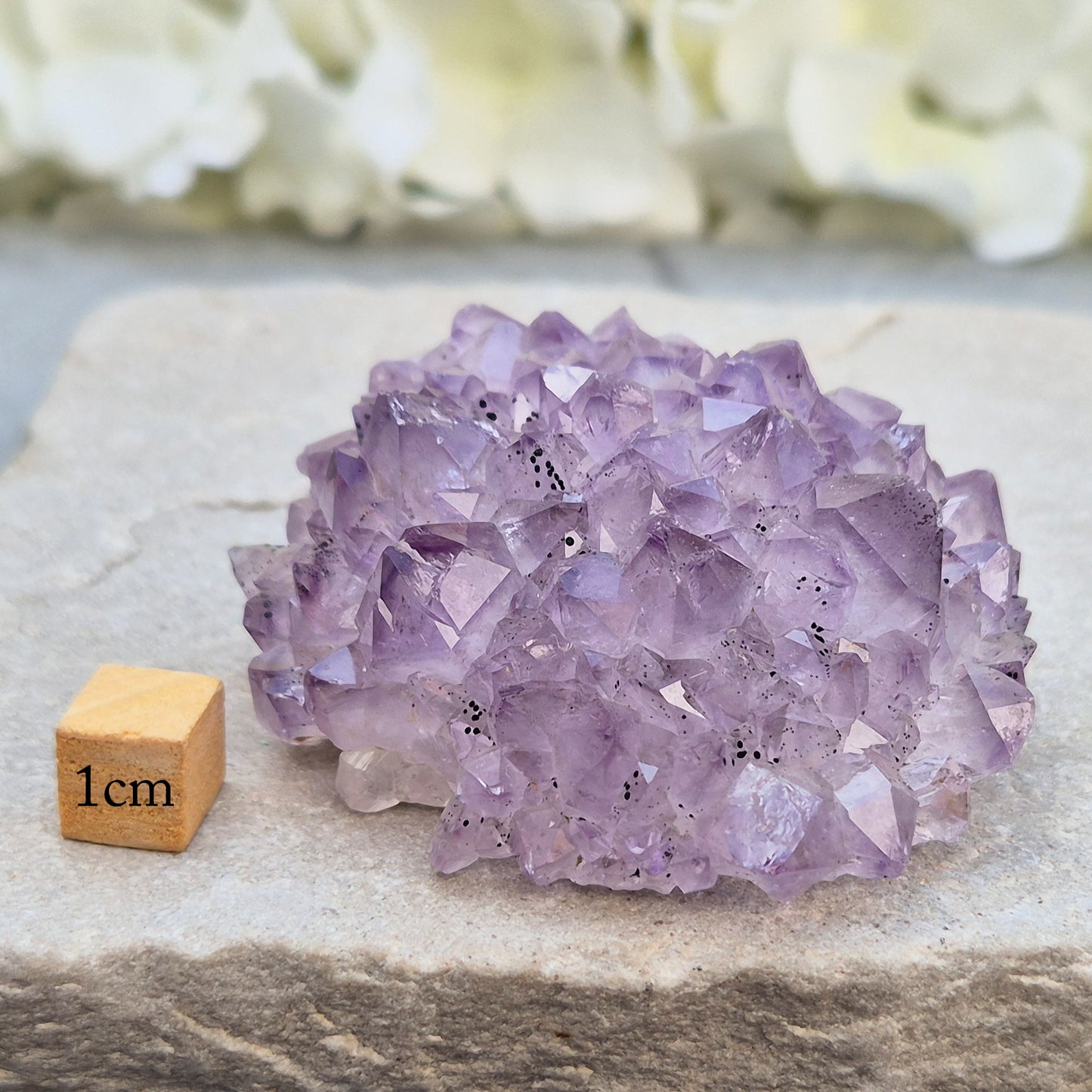 This amethyst stalactite cluster is formed from dozens of small pale amethyst crystal points densely packed into a rounded dome. Turned over, the base reveals a cross-section of the stalactite's growth, with the points radiating outward around a central core in a rosette-like pattern.