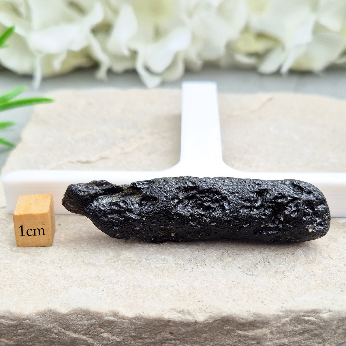Natural Black Tektite to strengthen grounding, release blockages, and support personal growth. Ideal for energy work and transformation.