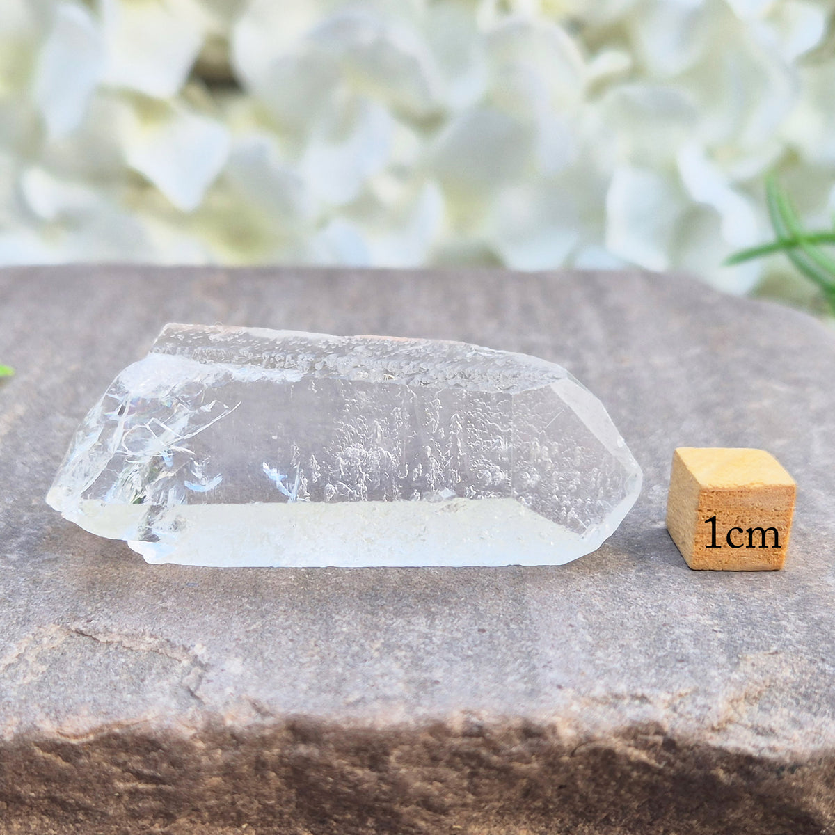 Starbrary Quartz Point – Enhances clarity, intuition, and focus. Supports balance, amplifies energy, and promotes deeper insight and inner peace.