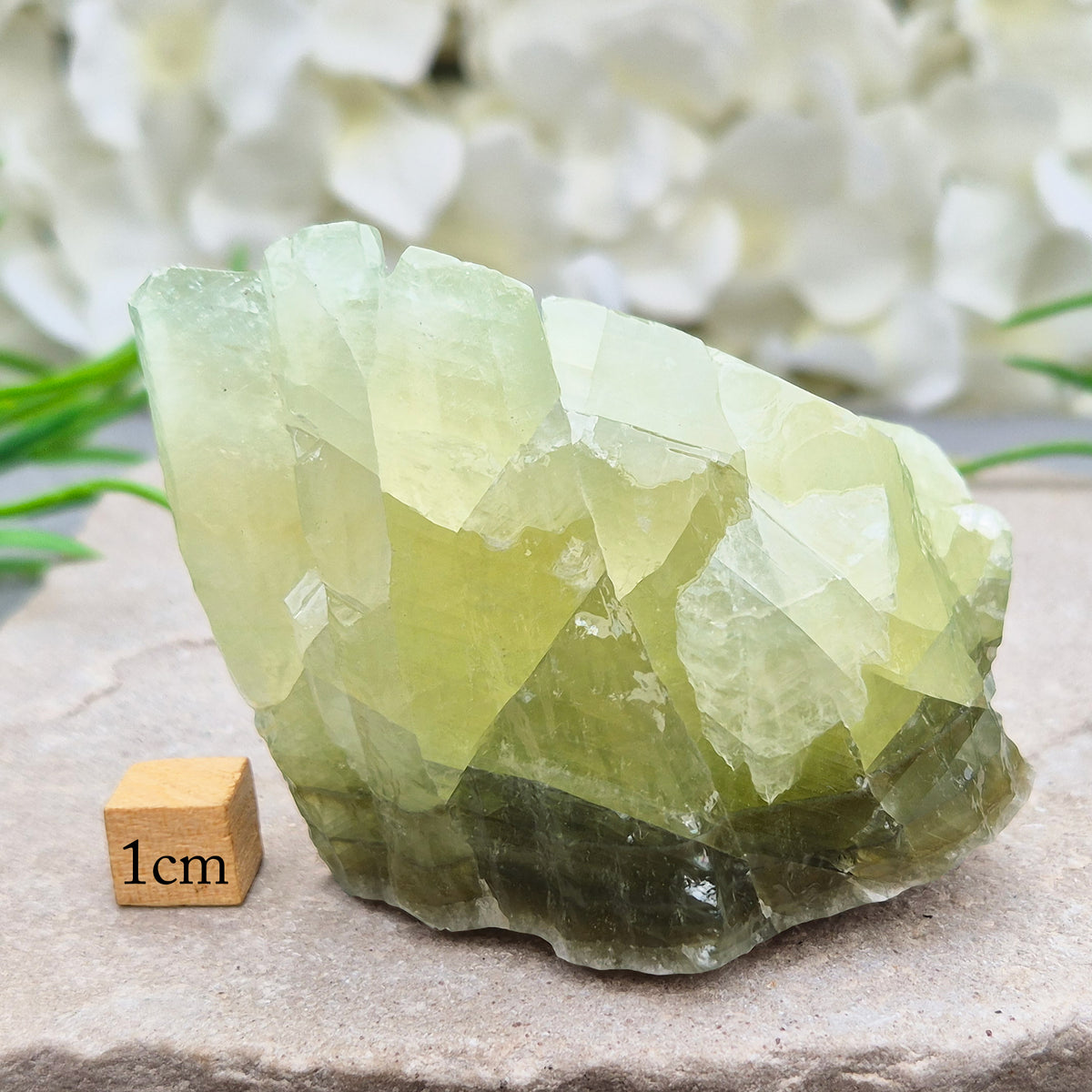 Green Calcite Crystal, Free standing Natural Gemstone
