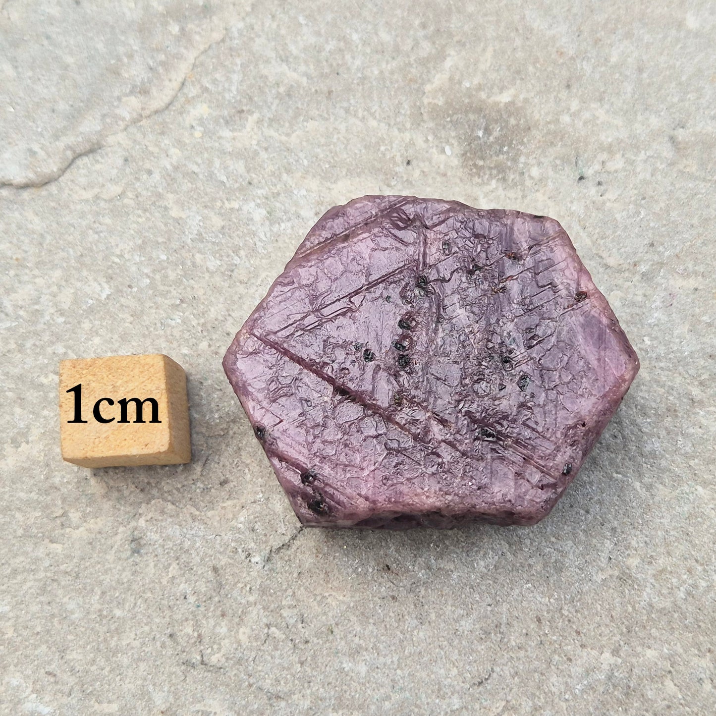 Rare Ruby Record Keeper with natural triangle markings. A deep healing stone for intuition, past life insight, courage, and soul truth.